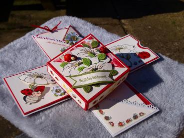 Explosionsbox zum Geburtstag, Explosion box for a birthday